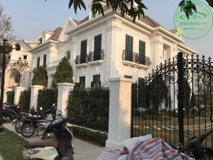 Hoa Phượng